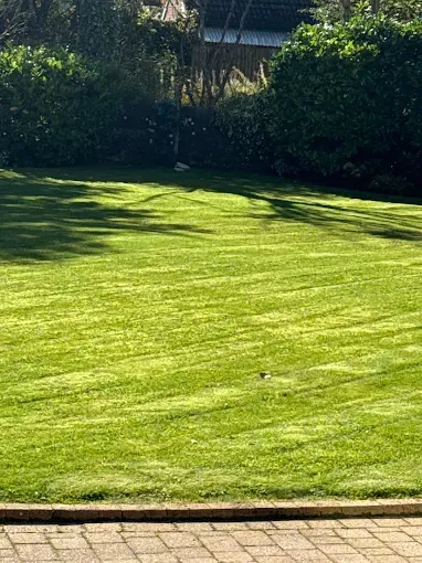 Lawn cutting and grass maintenance by Four Seasons Stirling